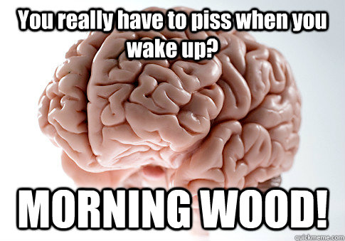 You really have to piss when you wake up? MORNING WOOD!  Scumbag Brain