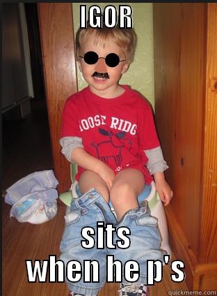                 IGOR                                            SITS WHEN HE P'S Misc