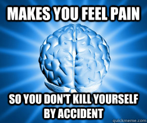 Makes you feel pain so you don't kill yourself by accident  Good Guy Brain