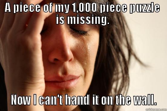 A PIECE OF MY 1,000 PIECE PUZZLE IS MISSING.  NOW I CAN'T HAND IT ON THE WALL. First World Problems