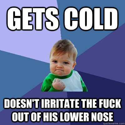 Gets Cold Doesn't irritate the fuck out of his lower nose  Success Kid