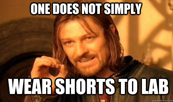 One does not simply Wear shorts to lab  Boromir