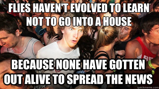 Flies haven't evolved to learn not to go into a house
 Because none have gotten out alive to spread the news  Sudden Clarity Clarence