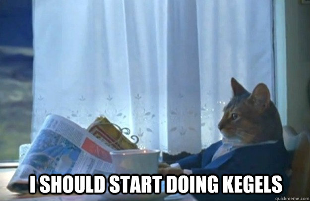 i should start doing kegels - i should start doing kegels  Sophisticated Cat