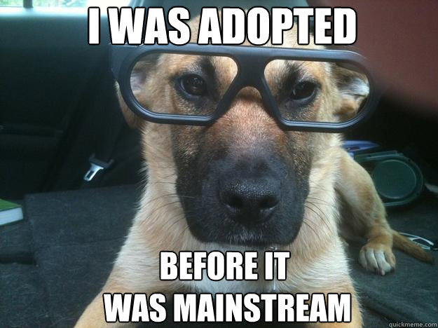 i was adopted before it
 was mainstream  Hipster