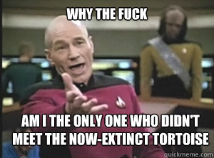 why the fuck am I the only one who didn't meet the now-extinct tortoise    Annoyed Picard