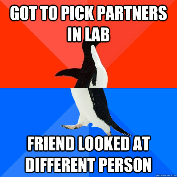 Got to pick partners in lab friend looked at different person  Socially Awesome Awkward Penguin