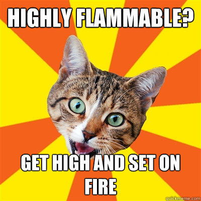 Highly Flammable? Get high and set on fire  Bad Advice Cat