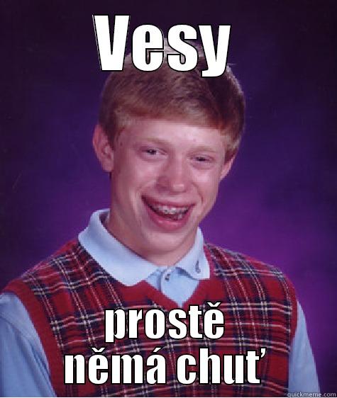 VESY PROSTĚ NĚMÁ CHUŤ Bad Luck Brian