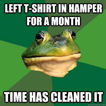 Left T-shirt in hamper for a month Time has cleaned it  Foul Bachelor Frog