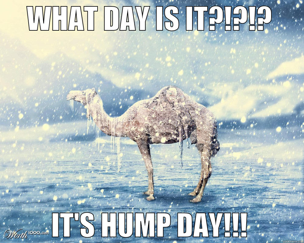 WHAT DAY IS IT?!?!? IT'S HUMP DAY!!! Misc