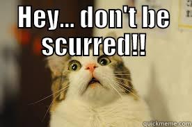 HEY... DON'T BE SCURRED!!  Misc