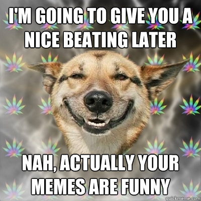 I'm going to give you a nice beating later nah, actually your memes are funny  Stoner Dog