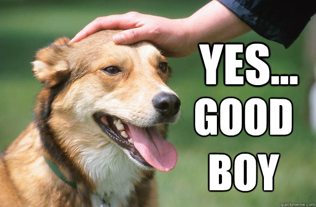 yes... good 
boy - yes... good 
boy  Good Boy