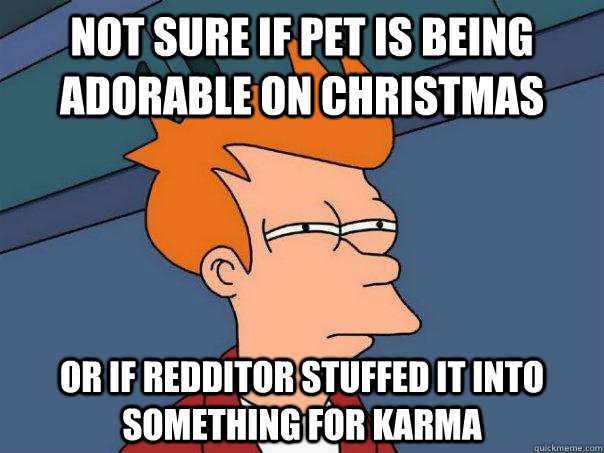 Not sure if pet is being adorable on Christmas Or if Redditor stuffed it into something for Karma  Futurama Fry