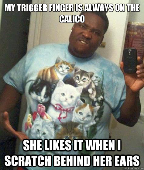 My trigger finger is always on the calico She likes it when I scratch behind her ears - My trigger finger is always on the calico She likes it when I scratch behind her ears  Gentle Gerald