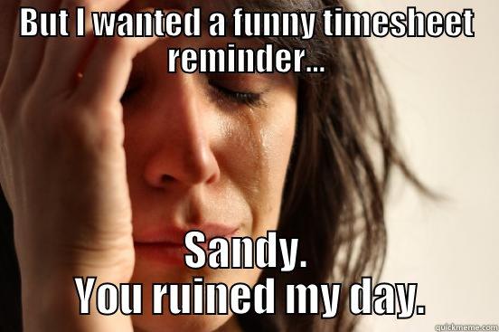 Timesheet reminder - BUT I WANTED A FUNNY TIMESHEET REMINDER... SANDY.  YOU RUINED MY DAY. First World Problems
