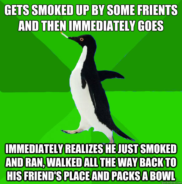 Gets smoked up by some frients and then immediately goes home due to social anxiety Immediately realizes he just smoked and ran, walked all the way back to his friend's place and packs a bowl  Stoner Penguin