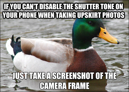 If you can't disable the shutter tone on your phone when taking upskirt photos just take a screenshot of the camera frame  Actual Advice Mallard