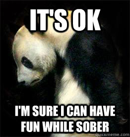 It's ok I'm sure I can have fun while sober - It's ok I'm sure I can have fun while sober  Sad Panda