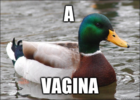 A Vagina  Actual Advice Mallard