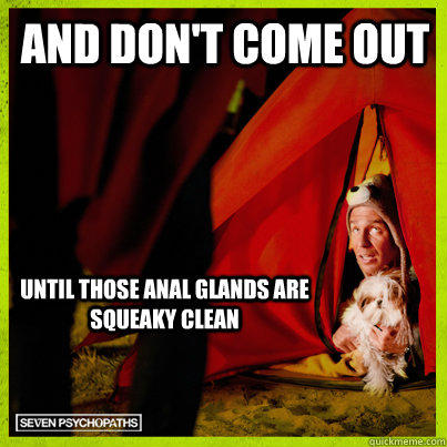 And don't come out until those anal glands are squeaky clean  Dog Psycho