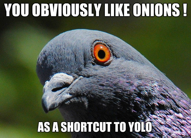 you obviously like onions ! as a shortcut to YOLO  