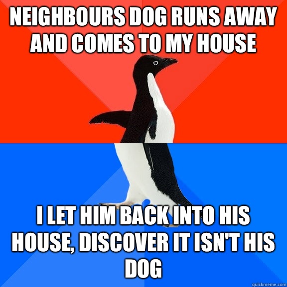 Neighbours dog runs away and comes to my house I let him back into his house, discover it isn't his dog  Socially Awesome Awkward Penguin