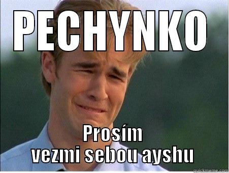 PECHYNKO PROSÍM VEZMI SEBOU AYSHU 1990s Problems