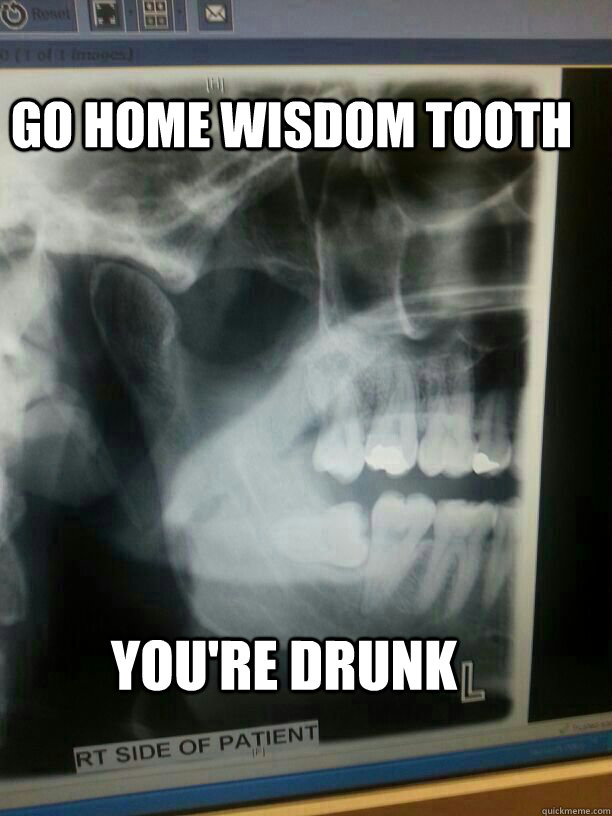 go home wisdom tooth you're drunk  Wisdom Tooth