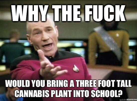 Why the fuck Would you bring a three foot tall cannabis plant into school?  Annoyed Picard HD