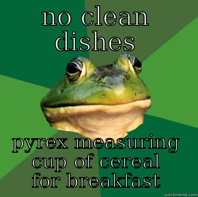 NO CLEAN DISHES PYREX MEASURING CUP OF CEREAL FOR BREAKFAST Foul Bachelor Frog