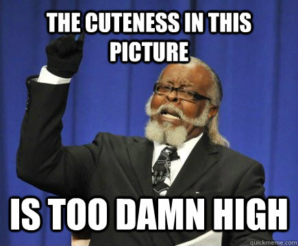The cuteness in this picture is too damn high  Too Damn High