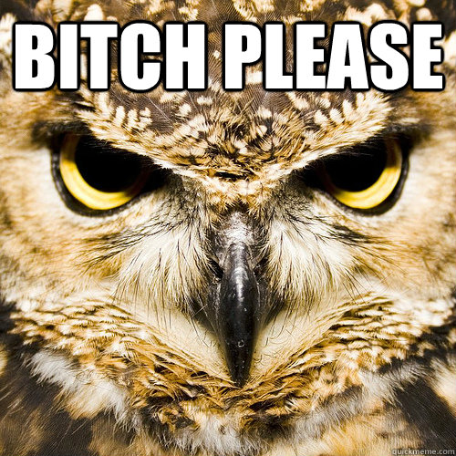 Bitch Please   - Bitch Please    Ornery Owl on Portal 2 DLC
