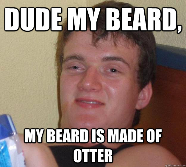 Dude my beard, my beard is made of otter - Dude my beard, my beard is made of otter  10 Guy