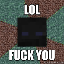 LOL FUCK YOU  Endermen