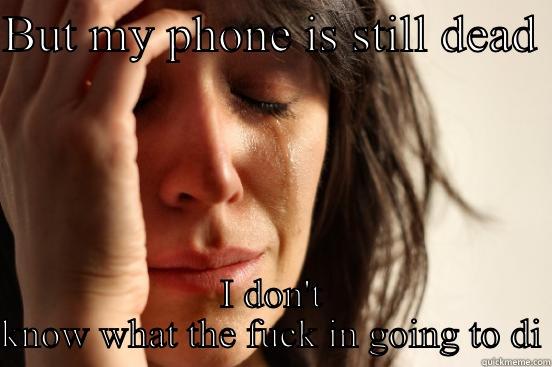 BUT MY PHONE IS STILL DEAD  I DON'T KNOW WHAT THE FUCK IN GOING TO DI First World Problems