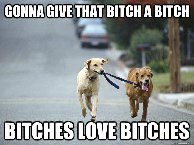 Gonna give that bitch a bitch Bitches Love Bitches - Gonna give that bitch a bitch Bitches Love Bitches  Bitches Love Bitches