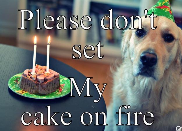 PLEASE DON'T SET MY CAKE ON FIRE Sad Birthday Dog