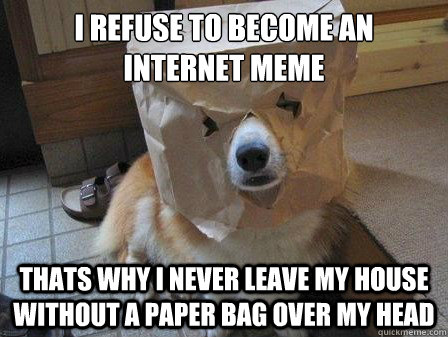 I refuse to become an internet meme
 thats why I never leave my house without a paper bag over my head  