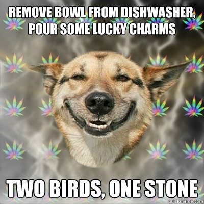Remove bowl from dishwasher, pour some lucky charms two birds, one stone  Stoner Dog