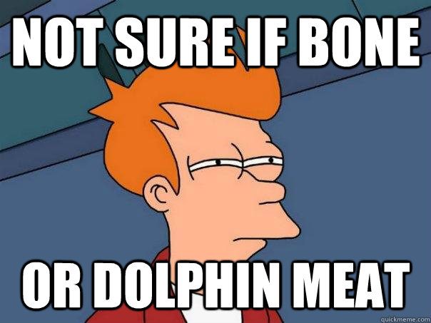Not sure if bone  Or dolphin meat  Futurama Fry