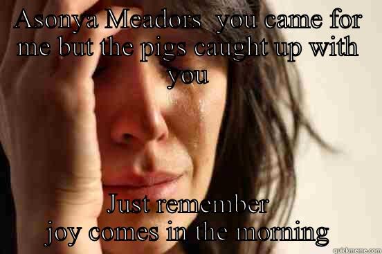 ASONYA MEADORS  YOU CAME FOR ME BUT THE PIGS CAUGHT UP WITH YOU JUST REMEMBER JOY COMES IN THE MORNING First World Problems