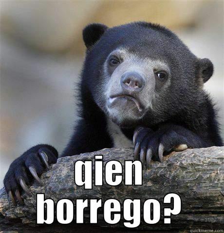  QIEN BORREGO? Confession Bear