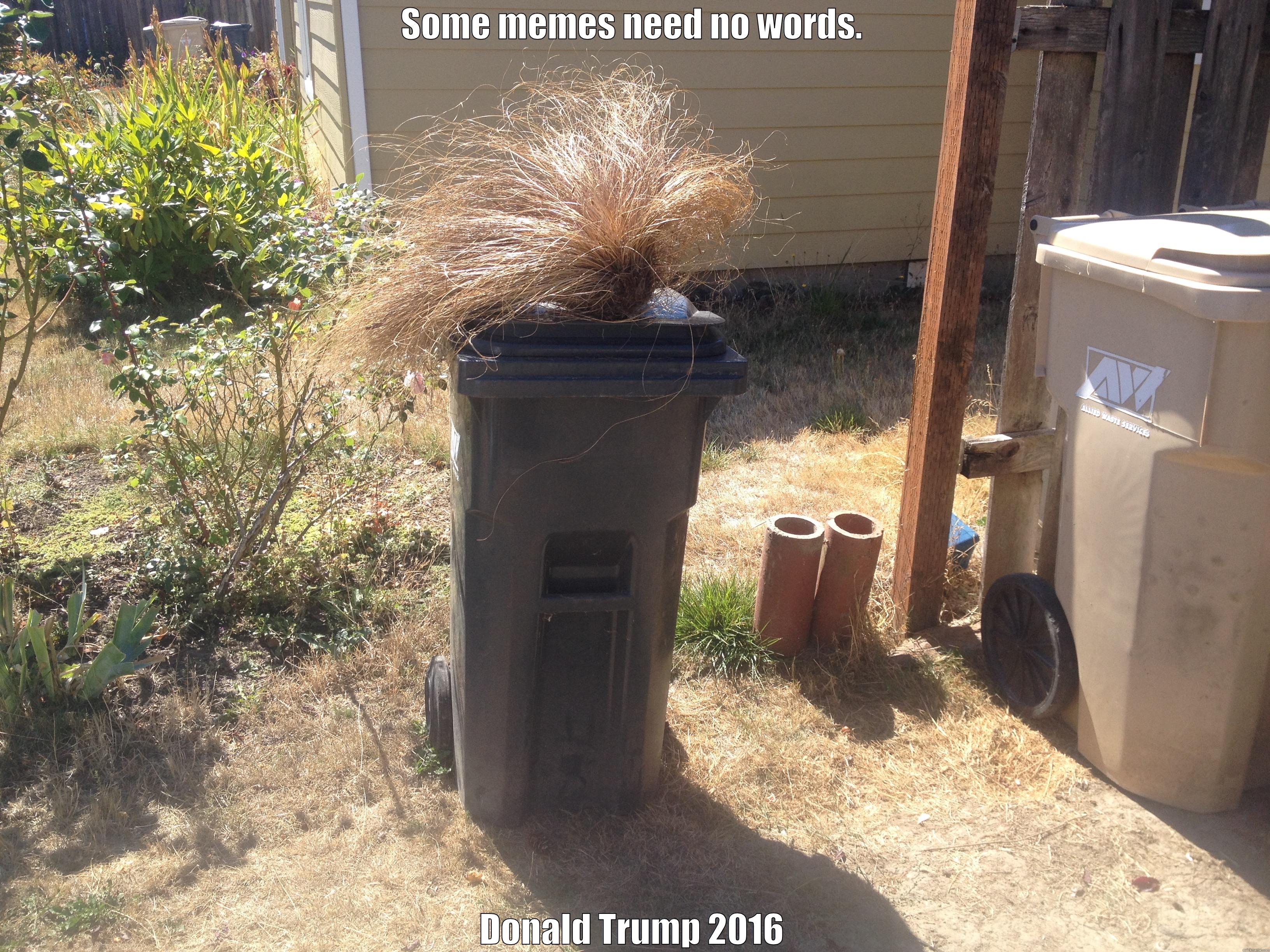 SOME MEMES NEED NO WORDS. DONALD TRUMP 2016 Misc