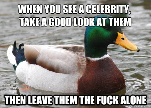 when you see a celebrity,
 take a good look at them then leave them the fuck alone  Actual Advice Mallard