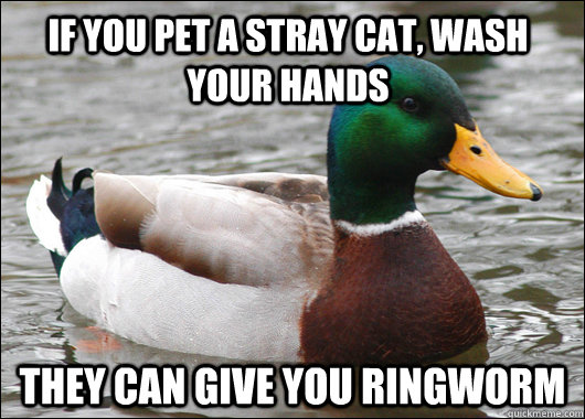 If you pet a stray cat, wash your hands They can give you ringworm  Actual Advice Mallard
