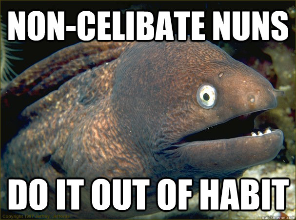Non-celibate nuns do it out of habit  Bad Joke Eel