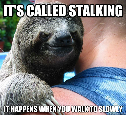 it's called stalking 
it happens when you walk to slowly - it's called stalking 
it happens when you walk to slowly  Suspiciously Evil Sloth