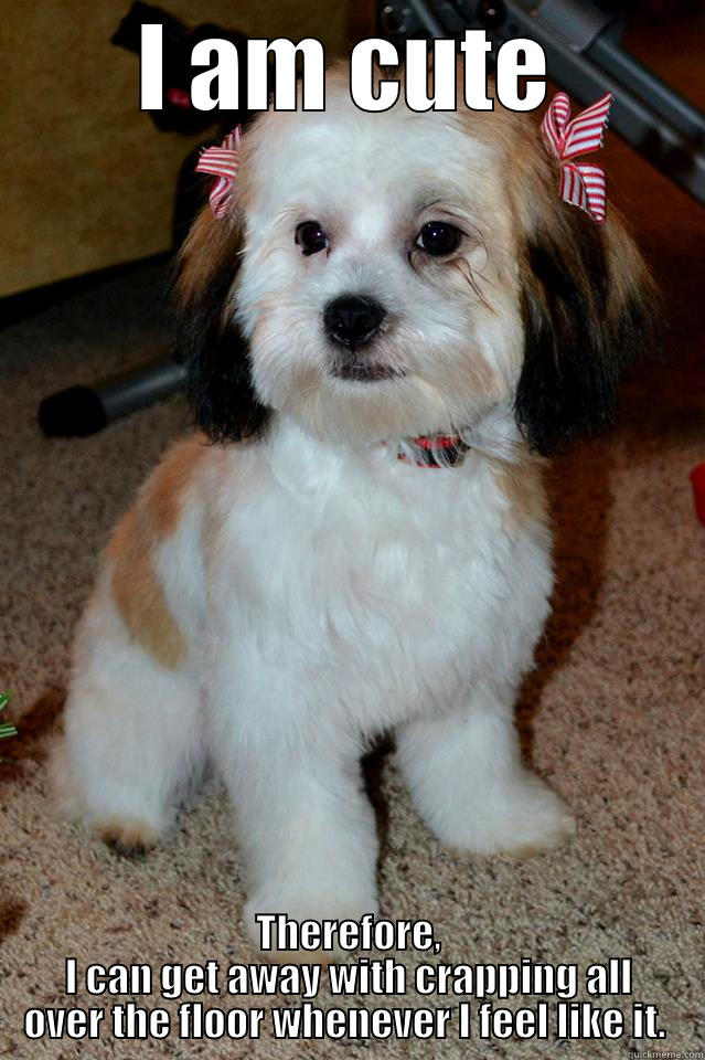 I AM CUTE THEREFORE, I CAN GET AWAY WITH CRAPPING ALL OVER THE FLOOR WHENEVER I FEEL LIKE IT.  Misc